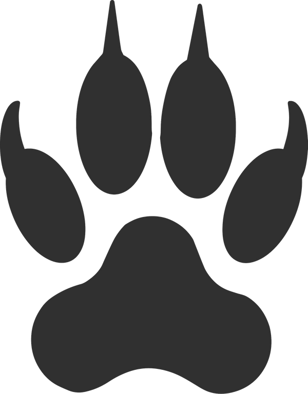 Fox Paw Prints